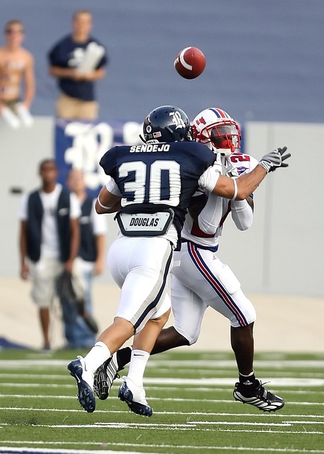 贝林厄姆的 贝林厄姆的