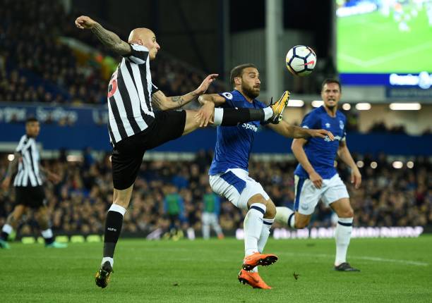 弗林蓬在 弗林蓬在