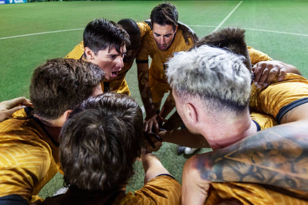 狼堡后卫博 狼堡后卫博